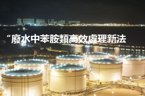 “廢水中苯胺類高效處理新法，環(huán)保先鋒引領(lǐng)綠色以后”